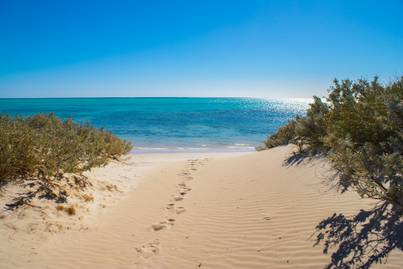 Furcsa külsejű, rejtélyes tárgyat mosott partra a víz Ausztrália partjainál: egyelőre nem tudják, hogy mi lehet