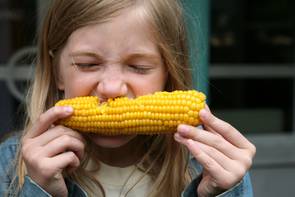 Ha te is így eszed a főtt kukoricát, tönkreteheted a fogaid