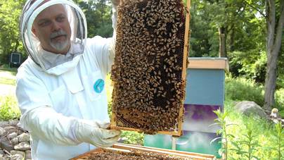 Világszerte népszerű lehet a magyar találmány, amely több és finomabb mézet is eredményezhet