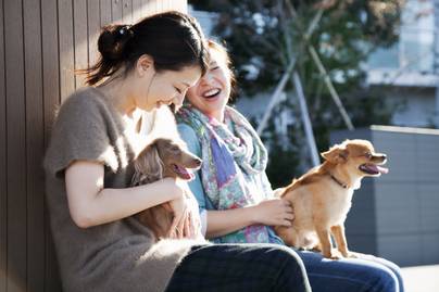 A japánok szerint ez a hosszú, boldog élet titka: az ikigai 10 alapszabálya