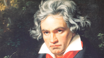 Nem várt helyről kerültek elő Beethoven koponyájának darabjai