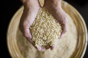 Ezért gondold meg kétszer, hogy újramelegíted-e a maradék rizst