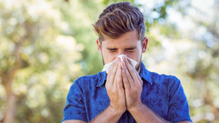 Így enyhítheti a parlagfű okozta allergiás tüneteket