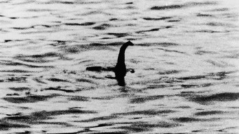 Mi a Loch Ness-i szörny, ha mégsem angolna?