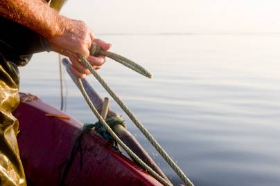 Sokkoló külsejű, sebekkel borított halat fogtak ki a halászok Ausztráliában: felvétel készült az állatról