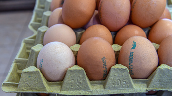 Öldöklő árverseny a boltokban: egy nap alatt hatalmasat zuhant a tojás ára