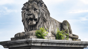 A Dunába vetette magát a Lánchíd oroszlánjait készítő szobrász