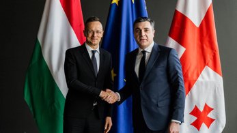 Magyarország katasztrófavédelmi segítséget ajánlott fel Georgiának