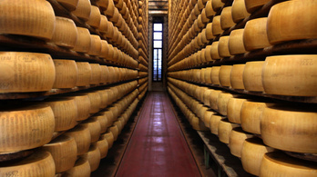 Saját sajtjai végeztek egy olasz sajtkészítővel