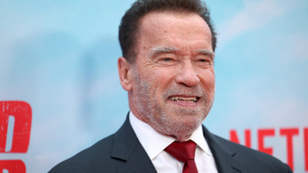 Váratlan vallomással állt elő Arnold Schwarzenegger