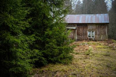 Elhagyatott házra bukkant a férfi az erdőben: mikor benyitott, nem hitt a szemének