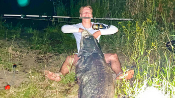 Gigantikus, 80 kilós víziszörnyet fogott ki egy magyar horgász