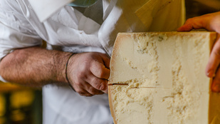 Microchip a sajtban? Az olaszok új trükkje a parmezán-hamisítók ellen