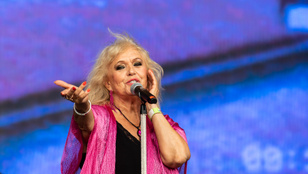 A legendás énekesnő megtisztelő kitüntetést kapott a jótékonysági tevékenységének elismeréséért