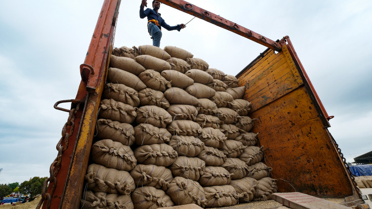 Elszállhat a rizs ára, India leállította a kivitelét