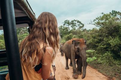 Kiejtette az autóból a mobilját a nő a szafarin: hihetetlen, hogy mit tett vele az egyik elefánt