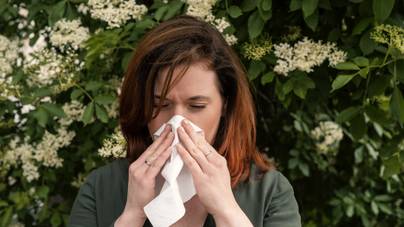 Kiderült, mi lehet a négy gyakori allergia okozója, amelytől milliók szenvednek