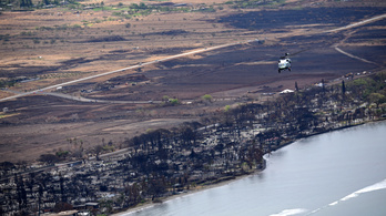 A Hawaiin pusztító tűz megmérgezhette az ivóvizet és a tengeri ökoszisztémát is