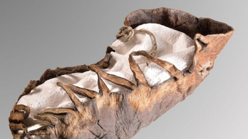 A régészek is ledöbbentek a több mint kétezer éves gyerekcipőn