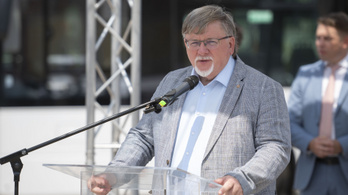 Megvan Győr ellenzéki polgármesterjelöltje?