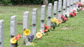 Huszonhét hősi halott magyar honvéd maradványai kerültek elő Apagyon