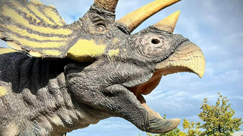 Dinoszauruszok szabadultak el Kőbányán