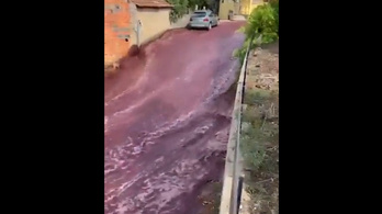Több mint kétmillió liter vörösbor folyt végig egy portugál városon