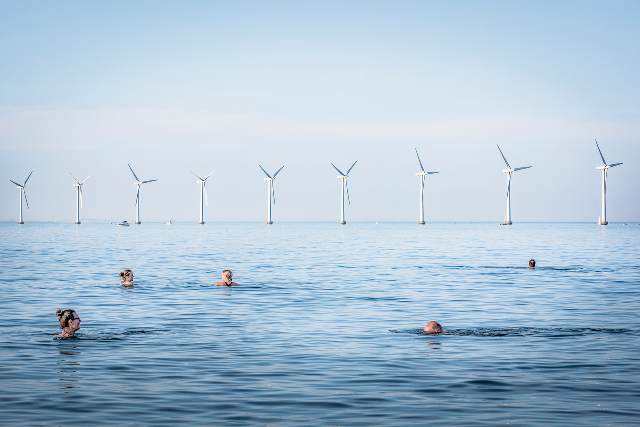 Emberek úsznak a dániai Amager strandon, egy szélerőműpark közelében