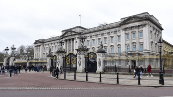 Birtokháborítással vádolták meg a Buckingham-palotába betörni próbáló férfit