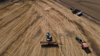 Ukrajna bepereli Magyarországot a gabona behozatali tilalma miatt