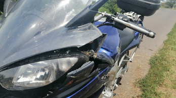 Őz borította fel a motorost – a Casco nem fizeti a földön csúszás okozta kárt