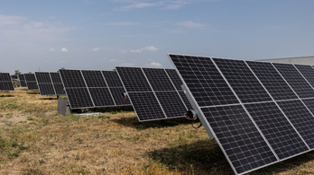 Bejelentették a napelemek állami támogatását, egy nap alatt el is kapkodták Németországban