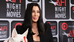 Cher felbérelt négy embert, hogy elraboltassa a saját fiát