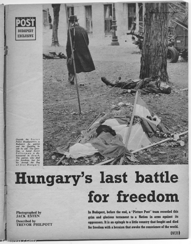 Az angol Picture Post magazin a LIFE-al egyidőben, 1956. november 12-én közölt először képes riportot az október 23-i és az azt követő eseményekről. A következő oldalakon megnézhetik, hogyan csodálkozhatott rá Európa a Budapesti eseményekre. A riport címe: Magyarország végső harca a szabadságért. A nyitóképen egy forradalmár és egy AVH-s tiszt holttestei.