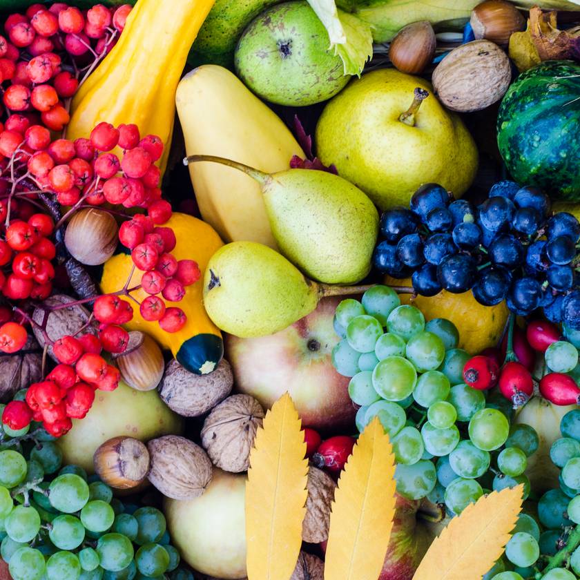 Jó hírek érkeztek a népszerű őszi gyümölcsről: ilyen termés várható az idén