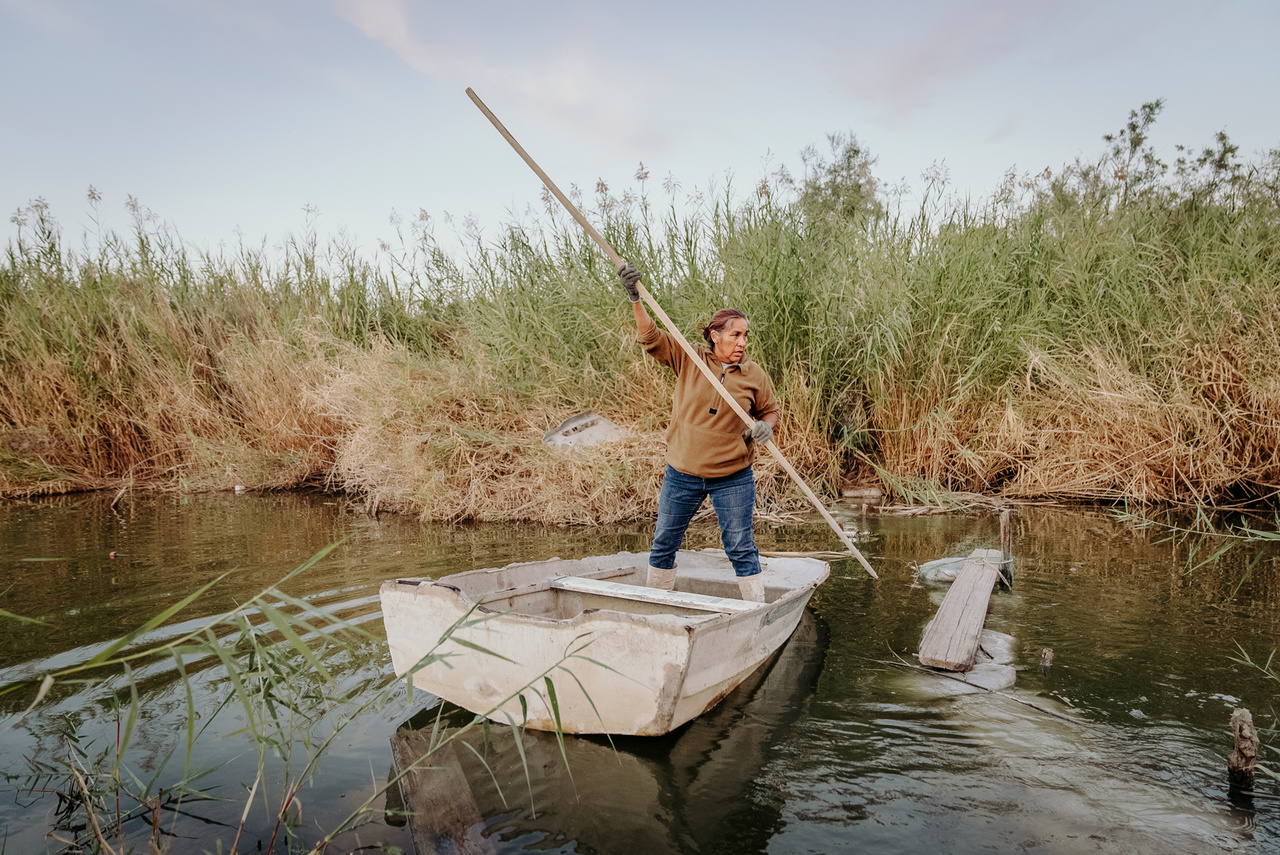A Cucapah törzsből származó Leticia Galavis Sainz halászik a Colorado folyóban, amelyet a mezőgazdasági
                        területekről érkező műtrágyás víz szennyez.