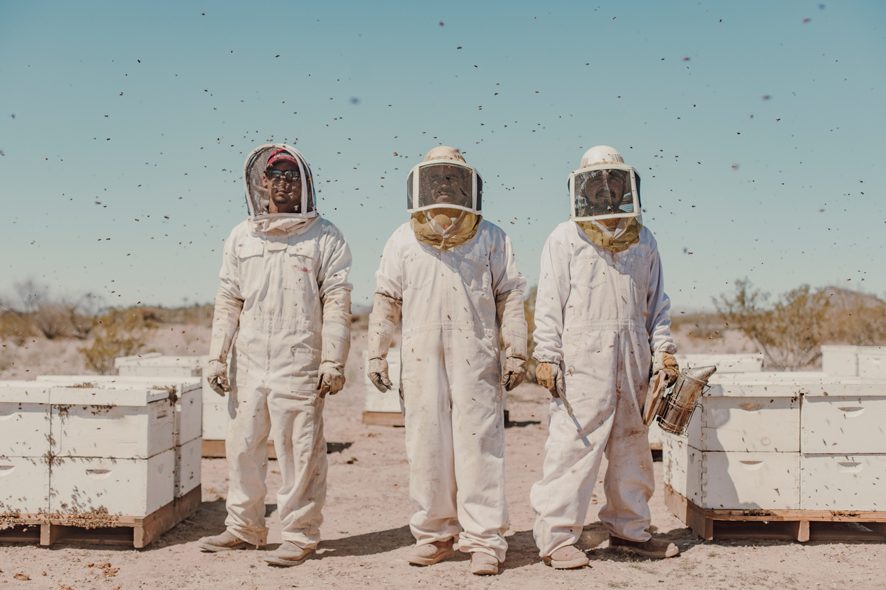 Alfredo Fierro az Eagle Eye Honey cégtől, (balra) és a munkatársai Ubaldo és José védőruhában, miközben
                        méheket gondoznak az arizonai sivatagban, Wenden közelében. Ők évek óta biztosítják a méheknek a vizet
                        kis vályúkban, máskülönben a méhkolóniák nem maradnának életben, mivel egyre kevesebb a csapadék.