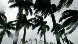 Özönvízszerű esőzés söpört végig a Karib-térségen
