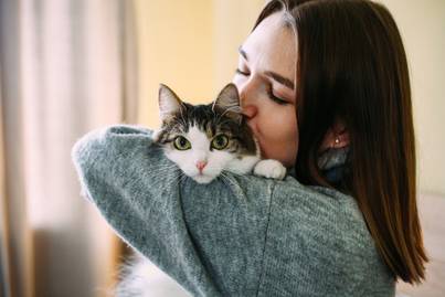 Így lehet még szorosabb a cica-gazdi kapcsolat: kötődést erősítő taktikák, amikkel a szeretetedet is kimutathatod