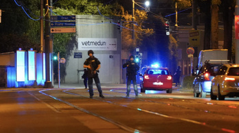 Véres lövöldözés volt Bécsben, a rendőrség hajtóvadászatot indított