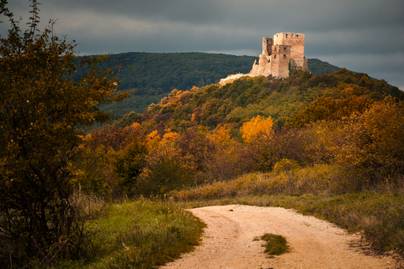 Ősszel a legszebb a magyar várhoz vezető út: sárga pompában igéző az erdő