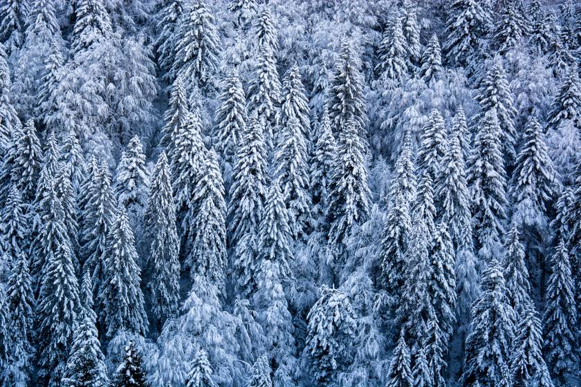 Téli mesevilág van a közelben: nézd meg képeken, milyen gyönyörű ilyenkor az Alpok