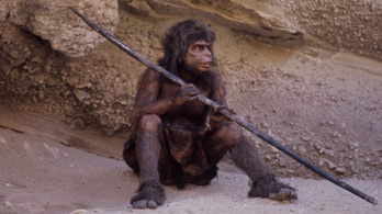 Emberi gének voltak a régi Neander-völgyiekben