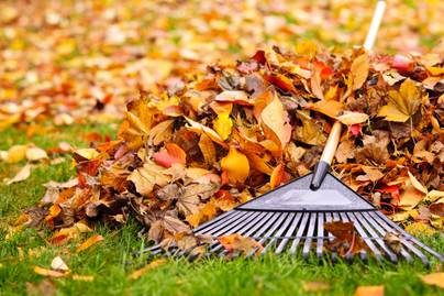 Óvatos légy az őszi kerti munkálatok során! Tragédiát is okozhat, ha nem figyelsz erre!