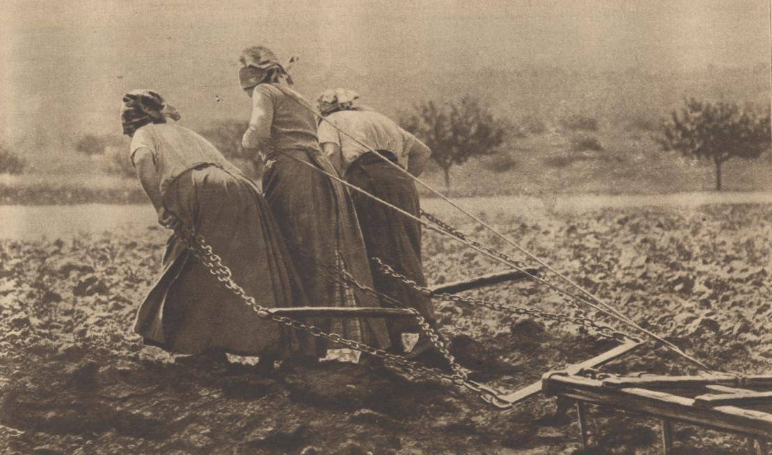 WW1 - 3 paysannes