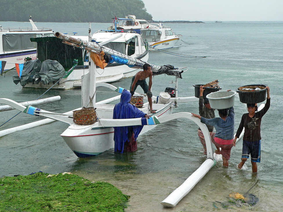 Kitárazás esőben: befutott egy jukung, azaz fából készített, támasztékos halászcsónak Padangbai kikötőjébe, és a friss fogást átpakolják a parton várakozó kisteherautóra. Balin a nők alaposan kiveszik a részüket a fizikai munkából: olyan súlyokat mozgatnak meg, olyan kemény munkát végeznek a rizsföldeken, amire nemhogy európai nő, de európai férfi se szívesen vállalkozna, ha nem nagyon muszáj. A halászat ezen a szinten nem sokat hoz a konyhára ezért mára sok halász átállt a turisták sétahajóztatására, illetve a búvárok szállítására