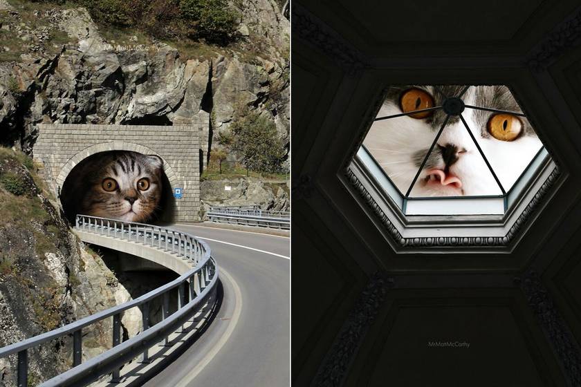 Óriás macska nézett ki az alagútból: képeken 5 imádni valóan nyugtalanító alkotás