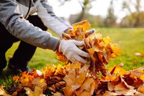 Erre használd fel az őszi faleveleket: hasznosak lehetnek a ház körül