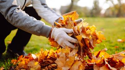 Erre használd fel az őszi faleveleket: hasznosak lehetnek a ház körül