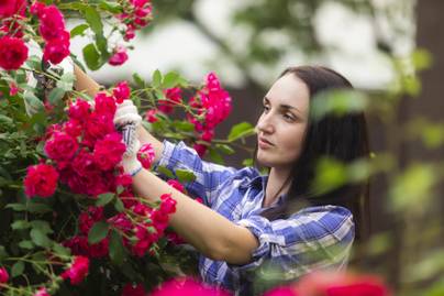 Rózsából és árvácskából készíti mesébe illő tündérruháit - Kertészkedés közben
